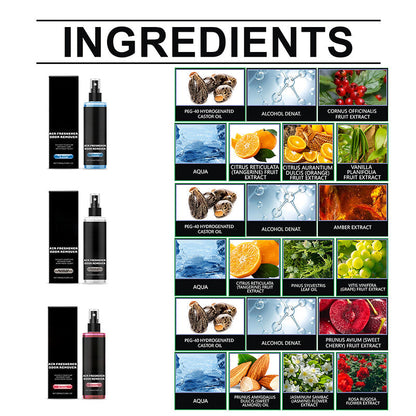 Odor-Removing Long-lasting Air Freshener for Cars