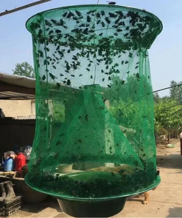 FAST FLY CATCHER